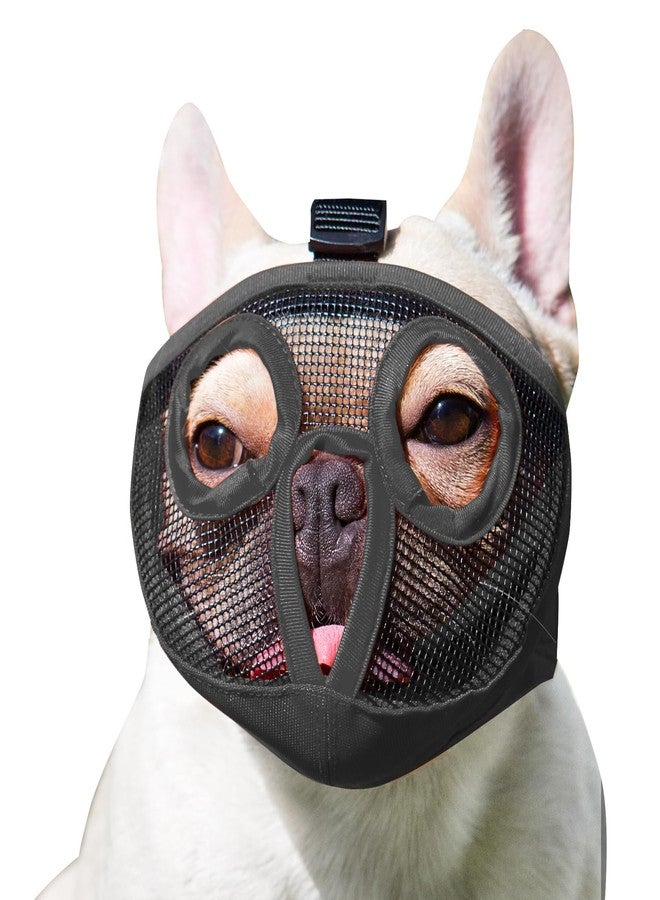 JYHY Short Snout Dog Muzzles- Bulldog Muzzle Breathable Mesh Dog Mask for Biting Chewing Training Licking Grooming (Black, L（Head 15.1-25") - Image 1
